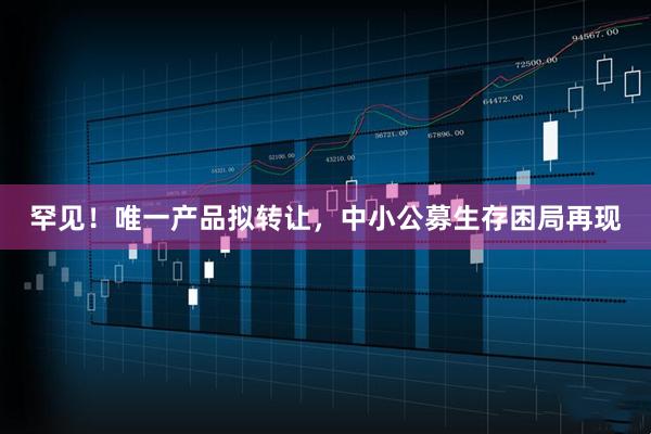 罕见！唯一产品拟转让，中小公募生存困局再现