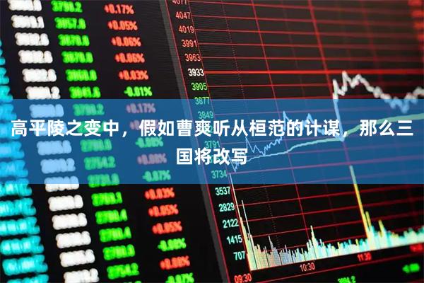 高平陵之变中，假如曹爽听从桓范的计谋，那么三国将改写