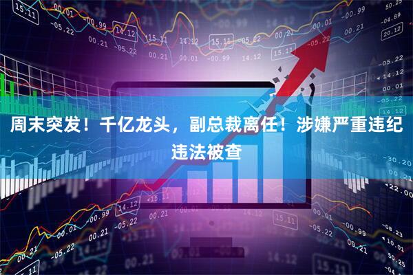 周末突发！千亿龙头，副总裁离任！涉嫌严重违纪违法被查